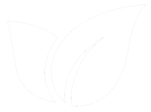 M&J Lawn Care & Landscaping