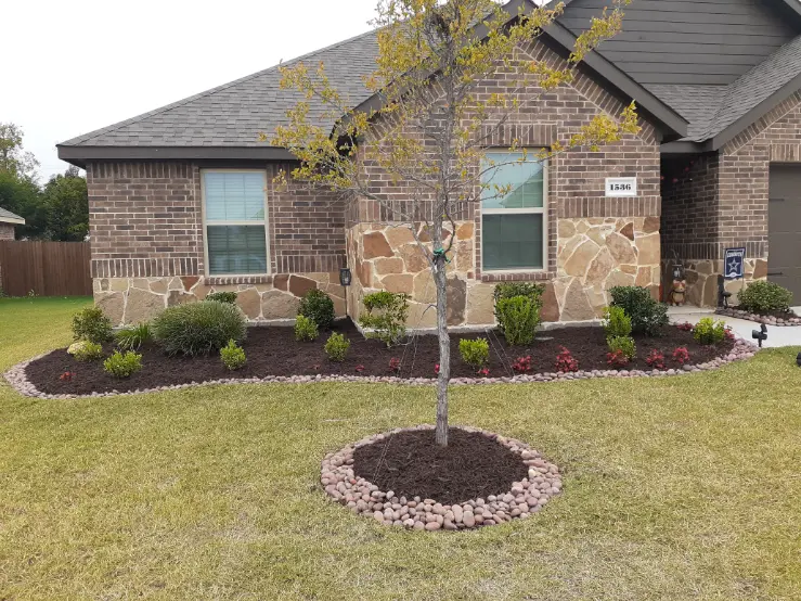 Landscape Installation